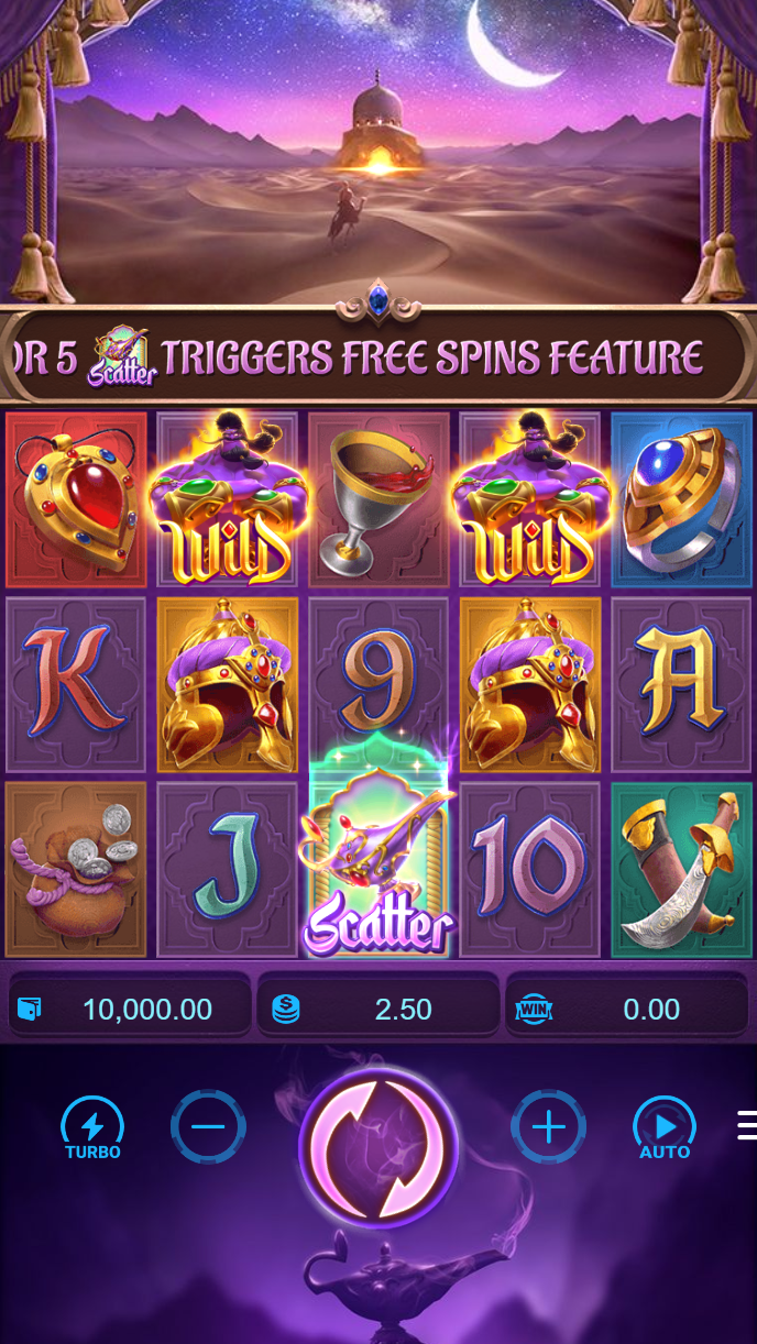 Fortune Tiger game display